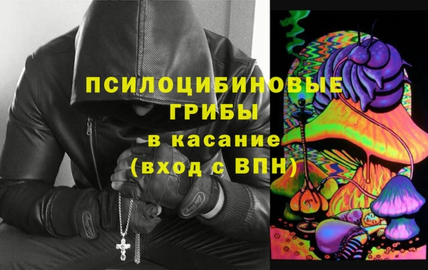 спиды Липки