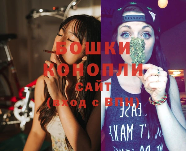 гашик Майский