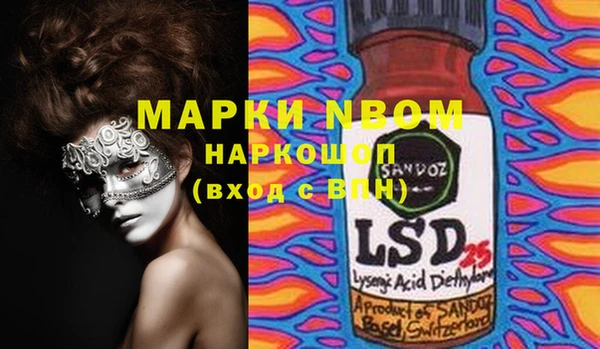 гашик Майский