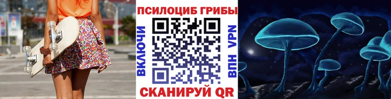 Псилоцибиновые грибы мухоморы  наркошоп  Южно-Сухокумск 
